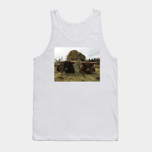 Scottish Highland Cattle Bulls 2335 Tank Top